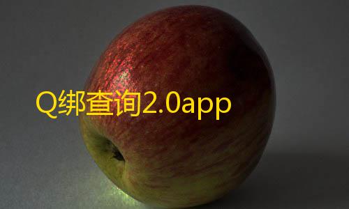 暗区突围辅助准星Q绑查询2.0app